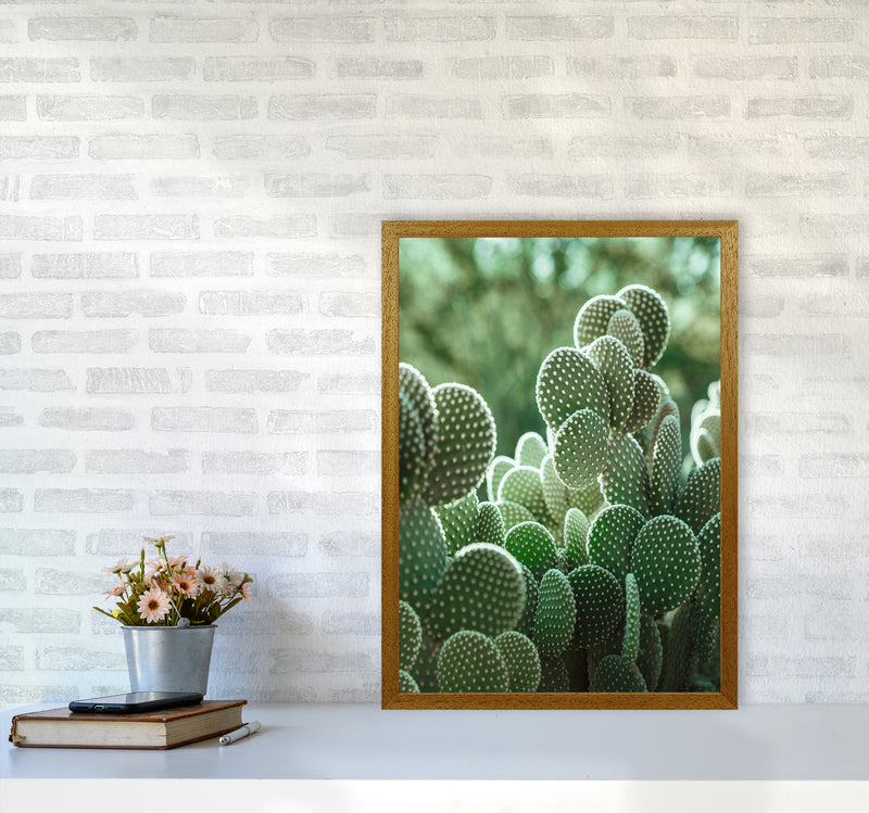 The Cacti Cactus Photography Art Print by Seven Trees Design A2 Print Only