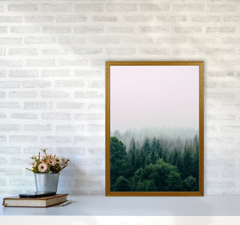 The Fog And The Forest I Photography Art Print by Seven Trees Design A2 Print Only