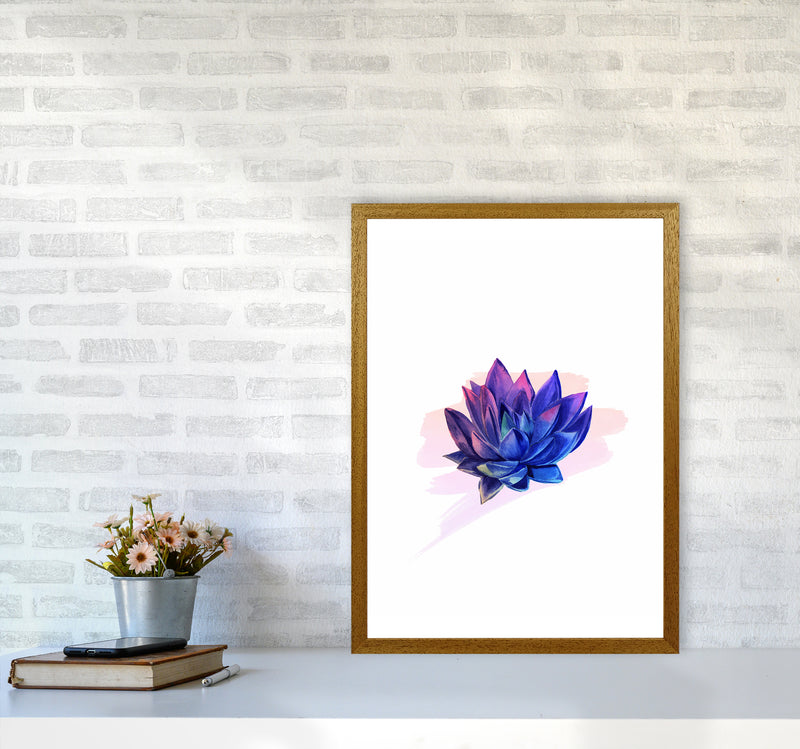 The Modern Succulent Art Print by Seven Trees Design A2 Print Only