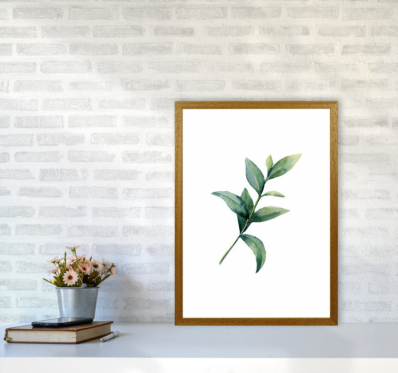 Watercolor Eucalyptus II Art Print by Seven Trees Design A2 Print Only