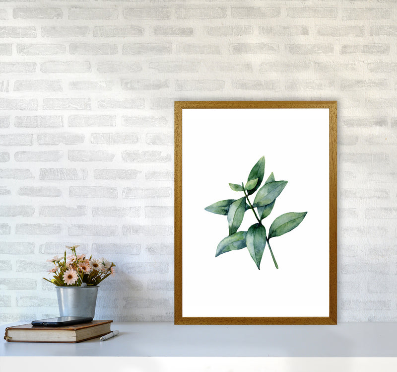 Watercolor Eucalyptus III Art Print by Seven Trees Design A2 Print Only