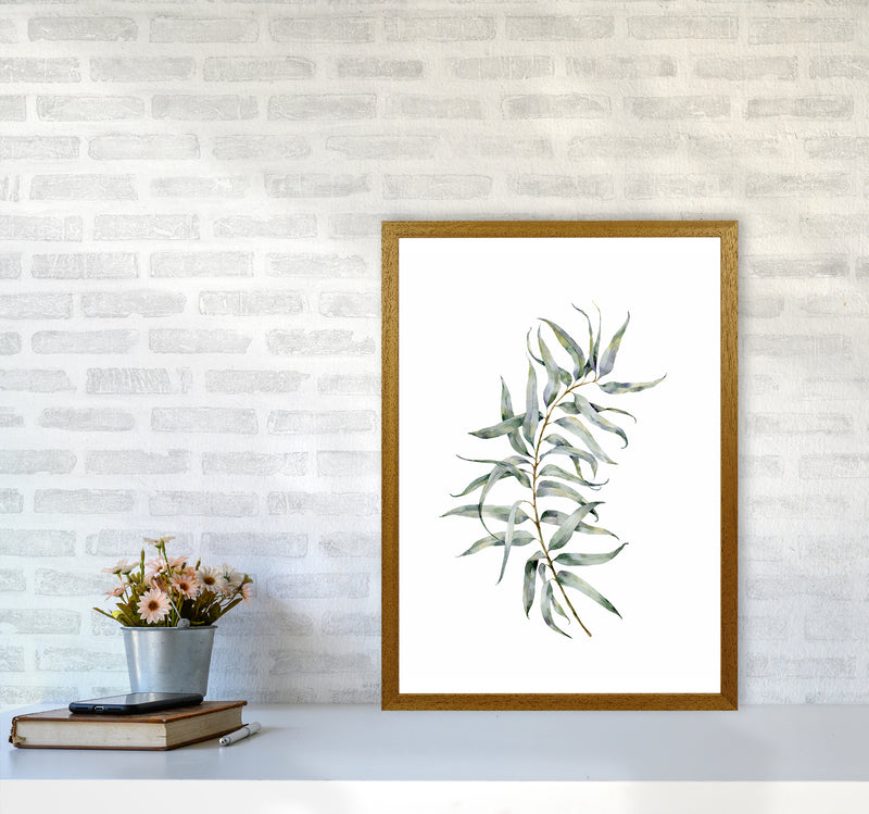 Watercolor Eucalyptus IV Art Print by Seven Trees Design A2 Print Only