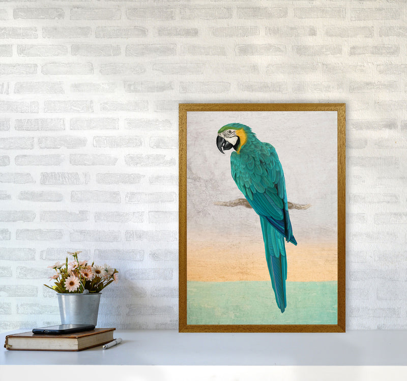 Graffiti Macaw Art Print by Seven Trees Design A2 Print Only