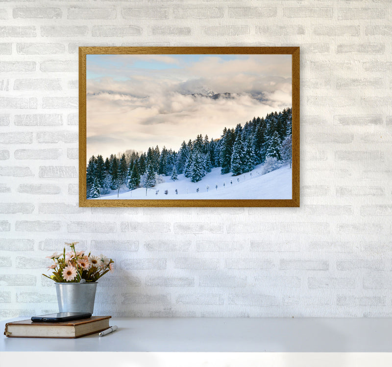Pines in the sky Art Print by Seven Trees Design A2 Print Only