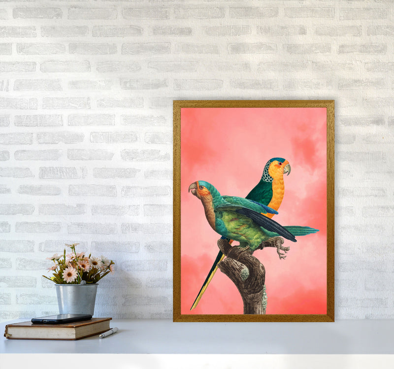 The Birds and the pink sky II Art Print by Seven Trees Design A2 Print Only