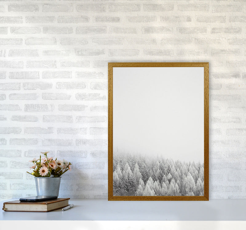 The White Forest Art Print by Seven Trees Design A2 Print Only