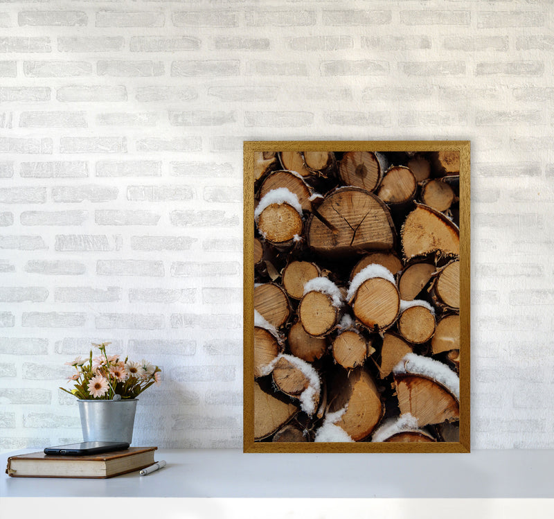 Wood Art Print by Seven Trees Design A2 Print Only