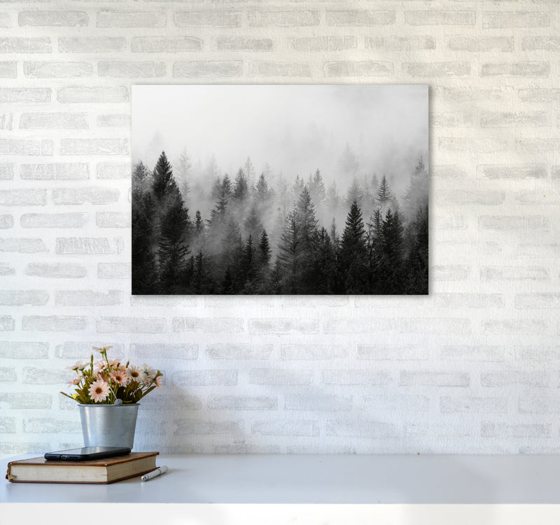 B&W Forest Photography Art Print by Seven Trees Design A2 Black Frame