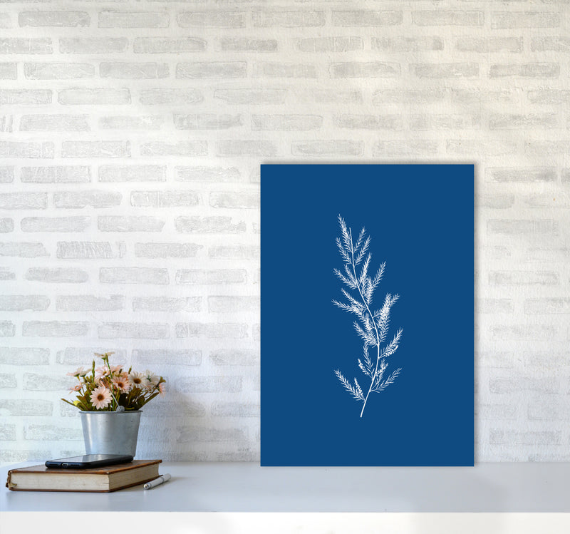 Blue Botanical II Art Print by Seven Trees Design A2 Black Frame
