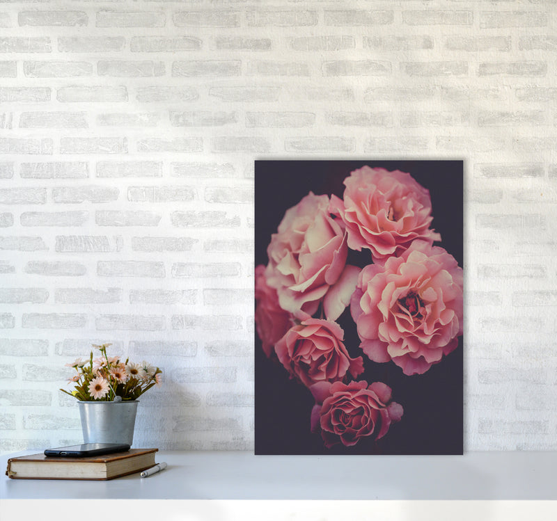 Dreamy Roses Art Print by Seven Trees Design A2 Black Frame