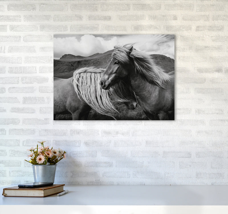 Horses In The Sky Photography Art Print by Seven Trees Design A2 Black Frame