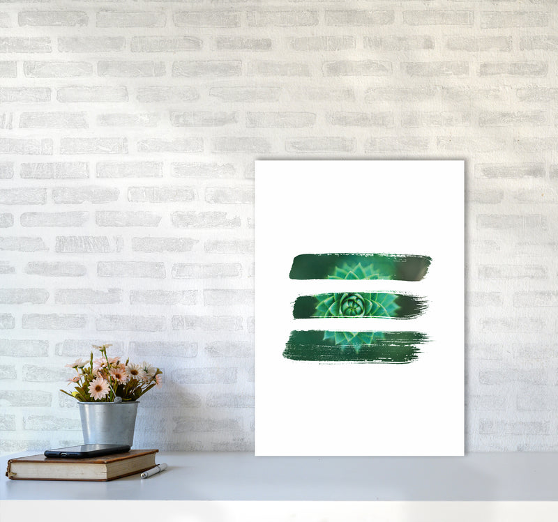 Modern Succulent I Art Print by Seven Trees Design A2 Black Frame