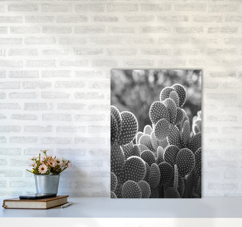 The Cacti Cactus B&W Art Print by Seven Trees Design A2 Black Frame