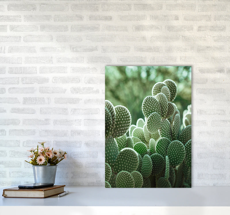 The Cacti Cactus Photography Art Print by Seven Trees Design A2 Black Frame