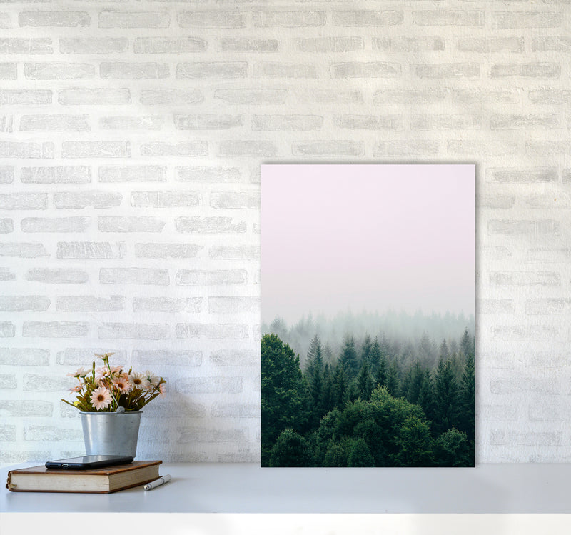 The Fog And The Forest I Photography Art Print by Seven Trees Design A2 Black Frame