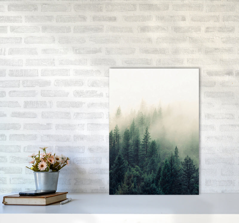 The Fog And The Forest II Photography Art Print by Seven Trees Design A2 Black Frame