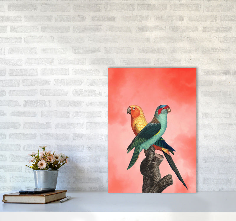 The Birds and the pink sky I Art Print by Seven Trees Design A2 Black Frame