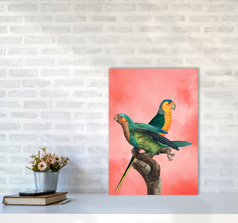 The Birds and the pink sky II Art Print by Seven Trees Design A2 Black Frame