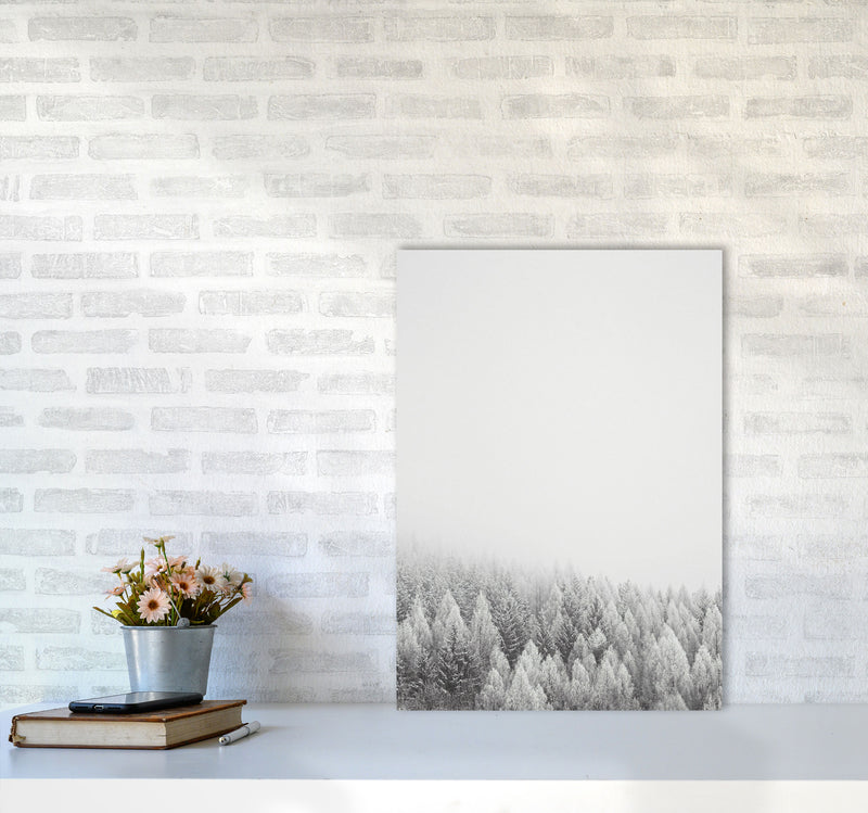 The White Forest Art Print by Seven Trees Design A2 Black Frame