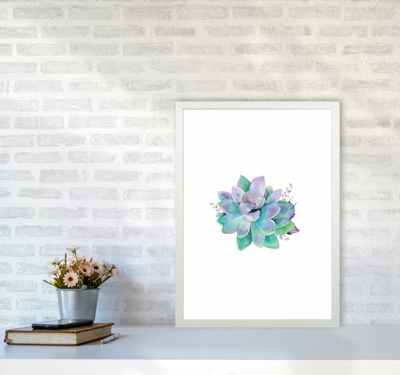 Aqua Succulent Botanical Art Print by Seven Trees Design A2 Oak Frame