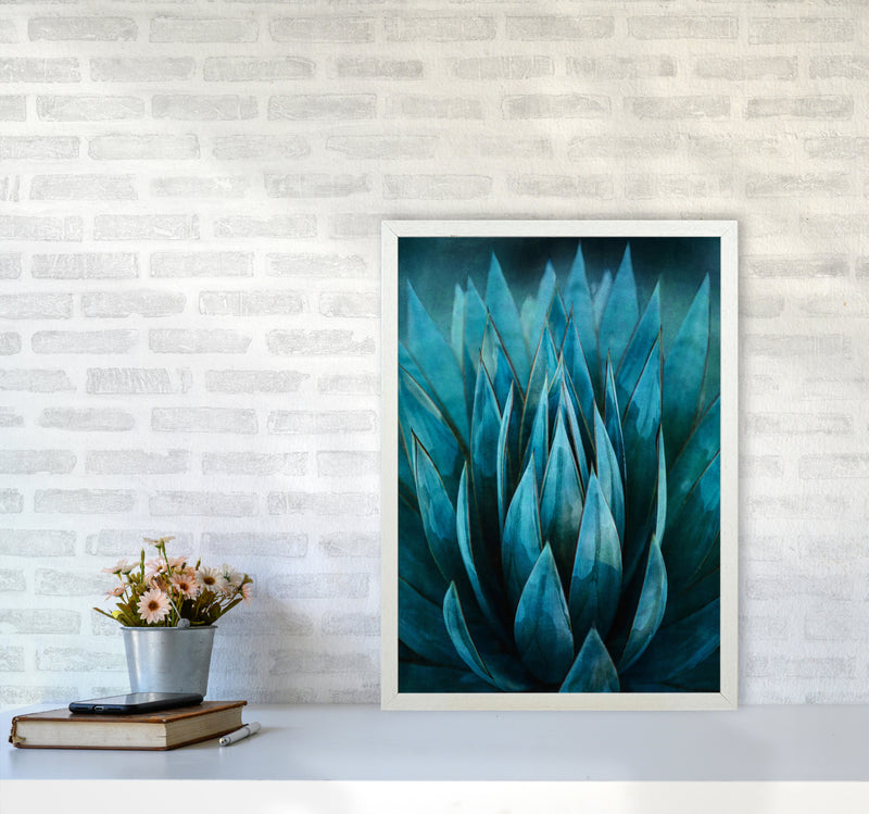 Blue Succulent Art Print by Seven Trees Design A2 Oak Frame