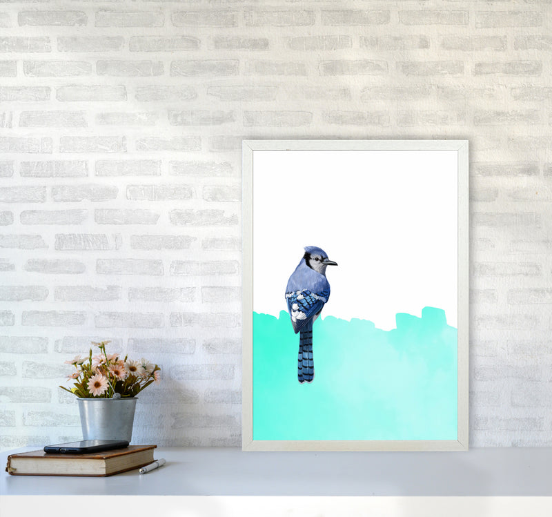 Bird Blue Art Print by Seven Trees Design A2 Oak Frame