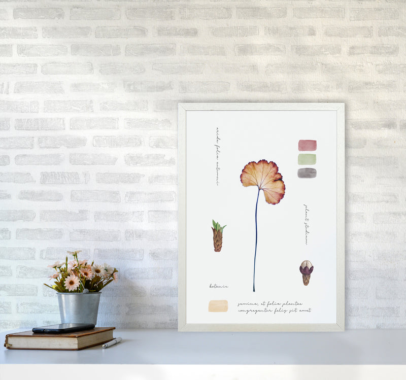 Botanic Notes Art Print by Seven Trees Design A2 Oak Frame