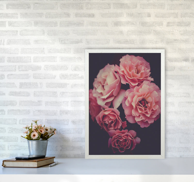 Dreamy Roses Art Print by Seven Trees Design A2 Oak Frame