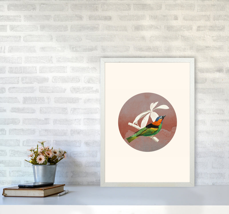 Bird Collage II Art Print by Seven Trees Design A2 Oak Frame