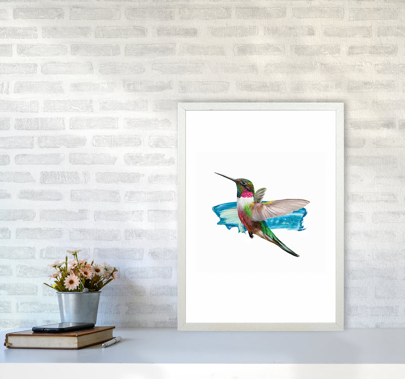 Modern Humingbird II Art Print by Seven Trees Design A2 Oak Frame