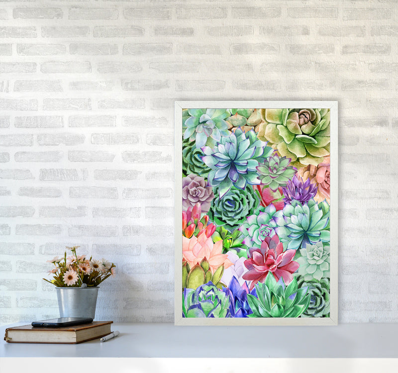 Succulents Paradise Botanical Art Print by Seven Trees Design A2 Oak Frame