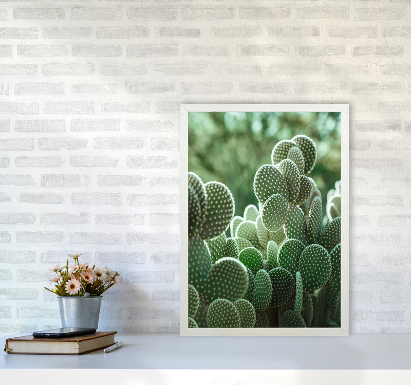 The Cacti Cactus Photography Art Print by Seven Trees Design A2 Oak Frame