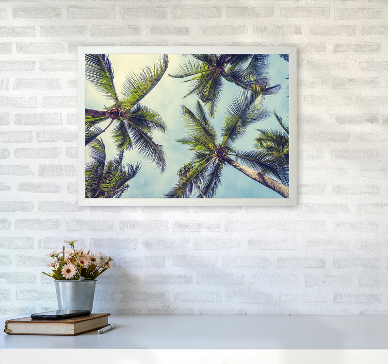 The Palms Photography Art Print by Seven Trees Design A2 Oak Frame