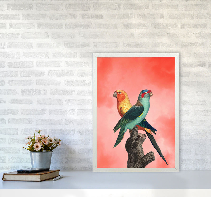 The Birds and the pink sky I Art Print by Seven Trees Design A2 Oak Frame