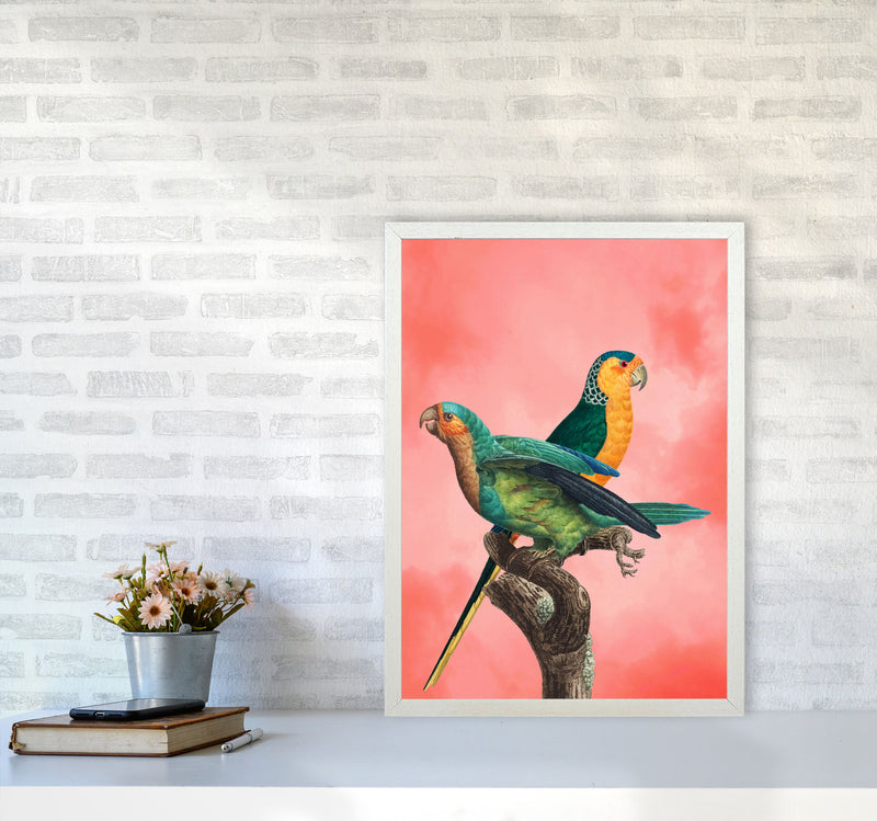 The Birds and the pink sky II Art Print by Seven Trees Design A2 Oak Frame