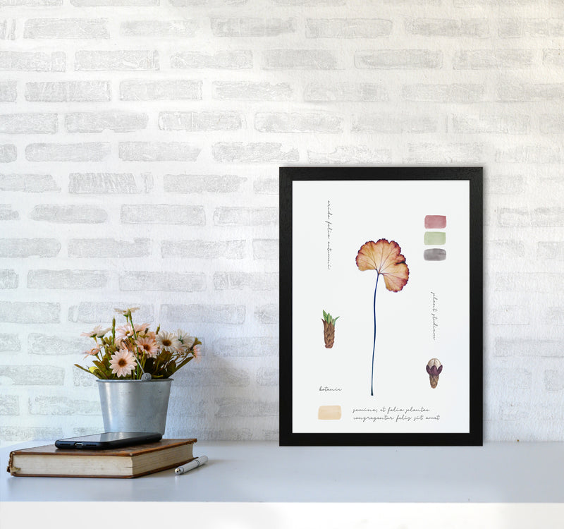 Botanic Notes Art Print by Seven Trees Design A3 White Frame