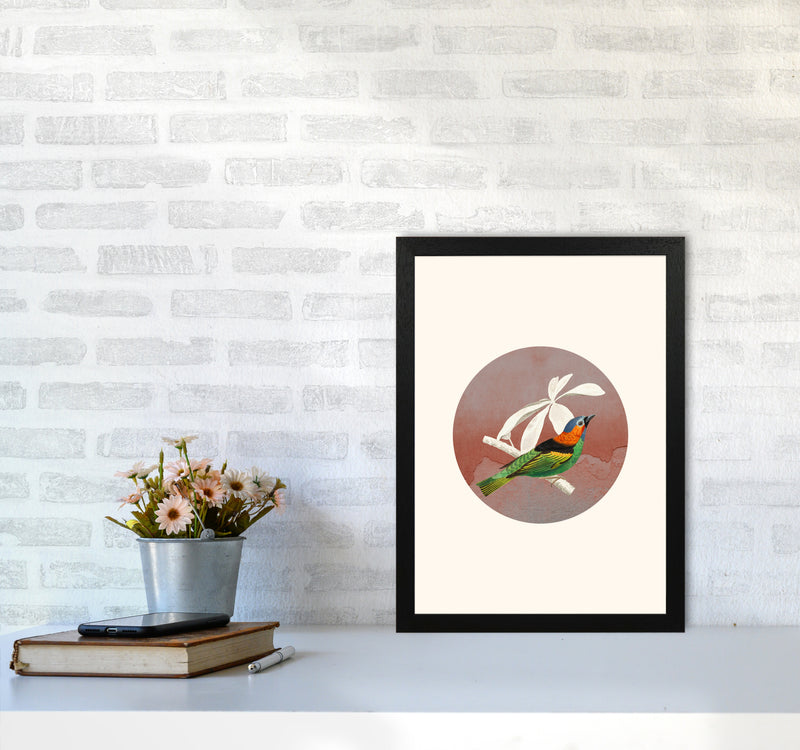 Bird Collage II Art Print by Seven Trees Design A3 White Frame