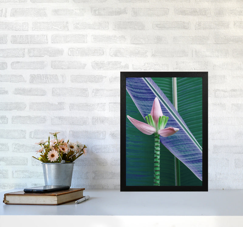 The Banana Flower Art Print by Seven Trees Design A3 White Frame