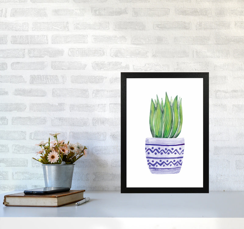 The Blue Succulent Art Print by Seven Trees Design A3 White Frame