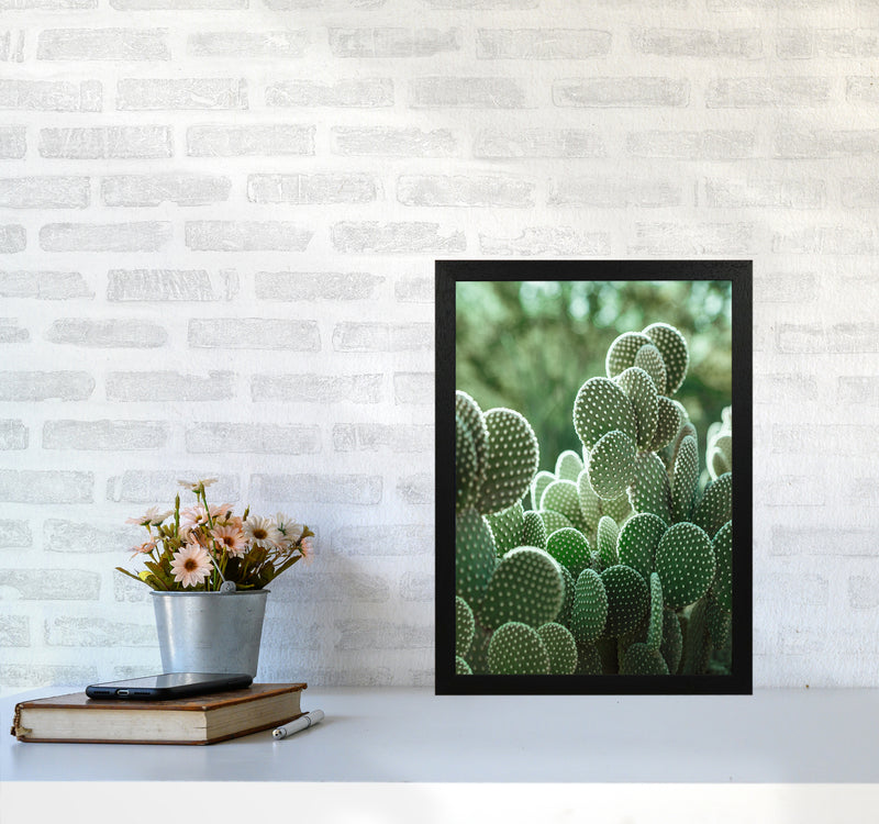 The Cacti Cactus Photography Art Print by Seven Trees Design A3 White Frame