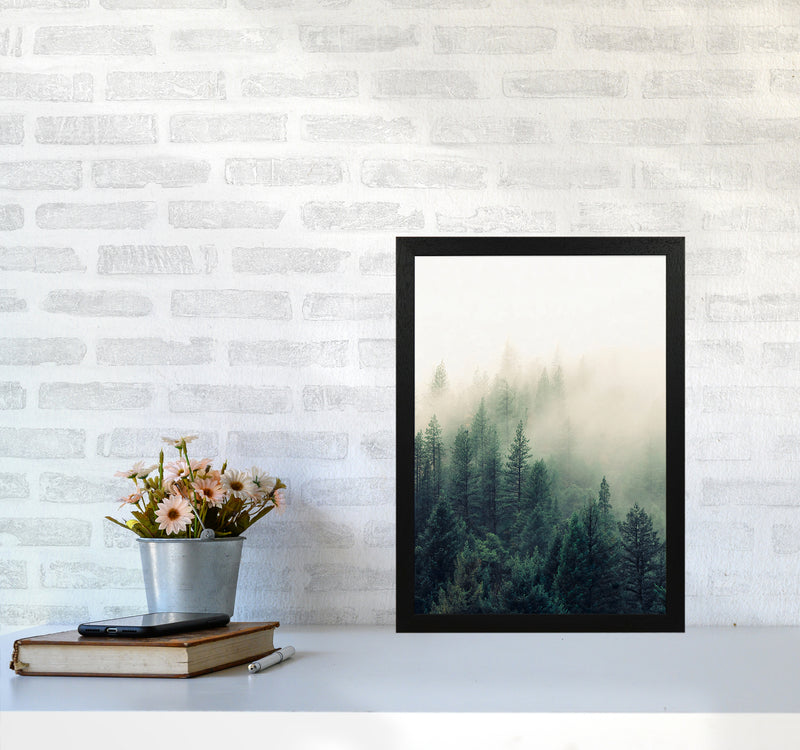 The Fog And The Forest II Photography Art Print by Seven Trees Design A3 White Frame