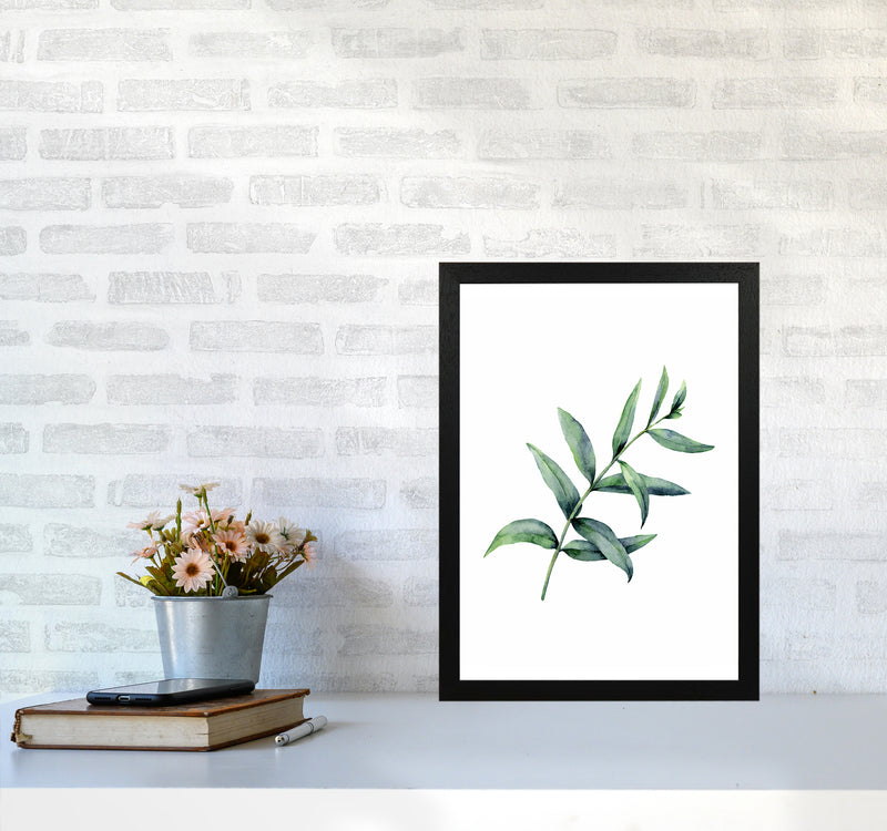 Watercolor Eucalyptus I Art Print by Seven Trees Design A3 White Frame