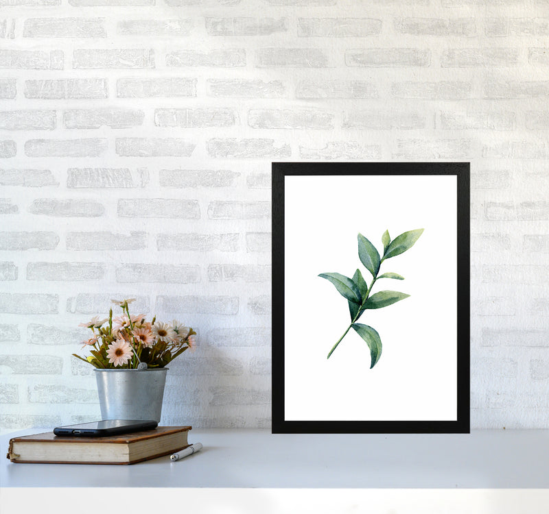 Watercolor Eucalyptus II Art Print by Seven Trees Design A3 White Frame
