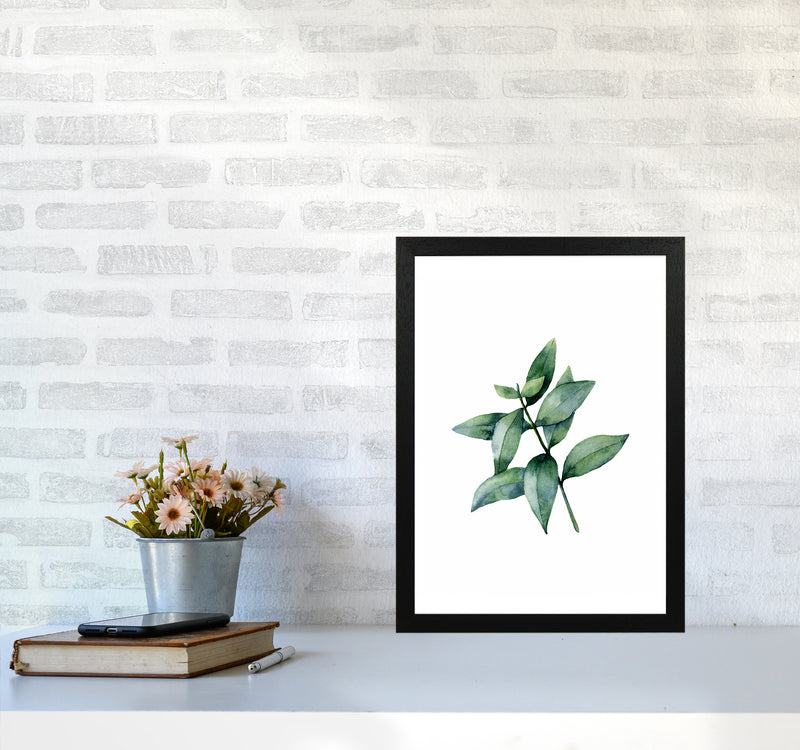 Watercolor Eucalyptus III Art Print by Seven Trees Design A3 White Frame