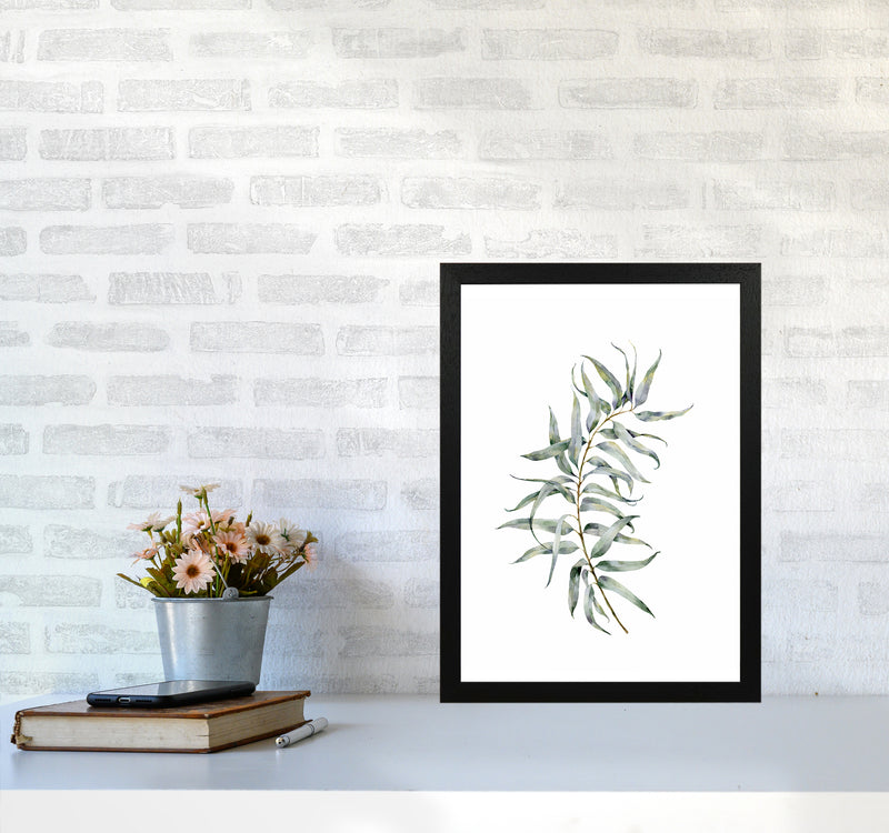 Watercolor Eucalyptus IV Art Print by Seven Trees Design A3 White Frame