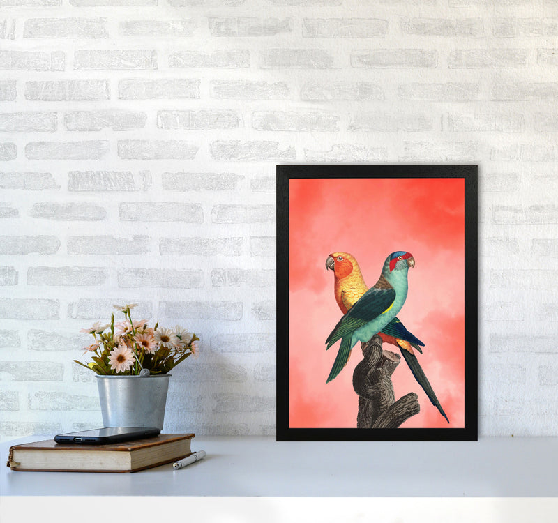 The Birds and the pink sky I Art Print by Seven Trees Design A3 White Frame