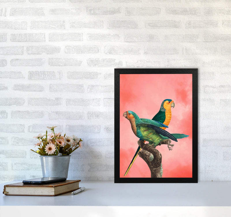 The Birds and the pink sky II Art Print by Seven Trees Design A3 White Frame