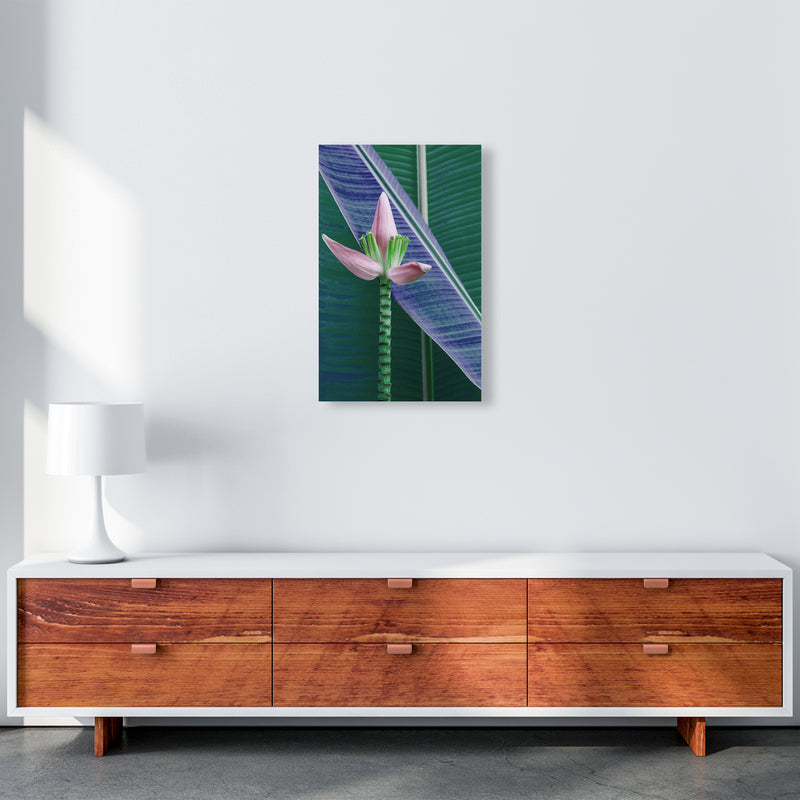 The Banana Flower Art Print by Seven Trees Design A3 Canvas