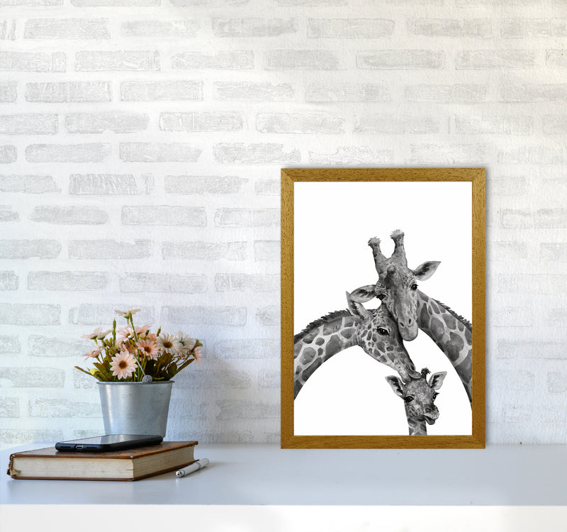 Giraffe Family Photography Art Print by Seven Trees Design A3 Print Only