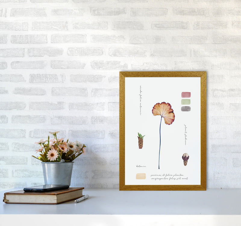 Botanic Notes Art Print by Seven Trees Design A3 Print Only
